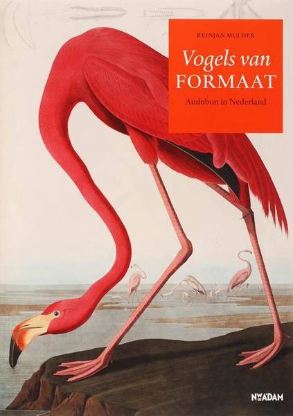MULDER, REINJAN. - Vogels van formaat. Audubon In Nederland.